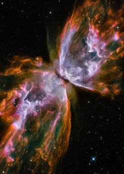 gravitationalbeauty:  The Butterfly Nebula 5 x 7 inch Astronomy