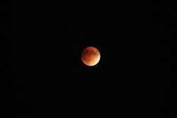 leatherxmoon:  *°~Blood Moon~°*