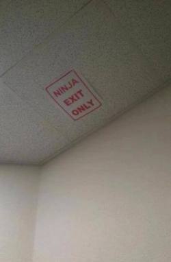 Just Funny Pictures