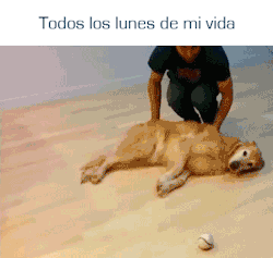 FailChile, un lugar para reír