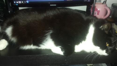 appelknekten:I wasn’t trying to use my PC anyway…  Brother?