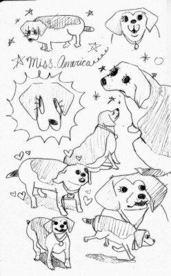 memedokis:  some drawings of my very beautiful dog
