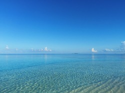 teasmoked: shades of transparent blue. maldives, summer 2015.
