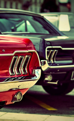 h-o-t-cars:  Ford Mustang by Corentin Chargois   