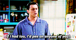 iamnevertheone:    favourite friends episodes• the one with