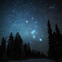 tiinatormanenphotography:  Orion. Dec 2015, Syöte, Finland. 