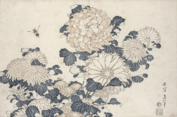 tierradentro:  “Bee and Chrysanthemums”, 19th century, Katsushika