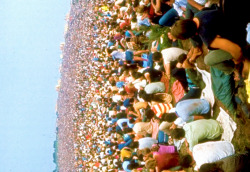 babeimgonnaleaveu:  Crowd at Woodstock Music Festival, 1969.