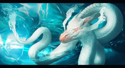 awesomedigitalart:  water dragon by sheer-madness