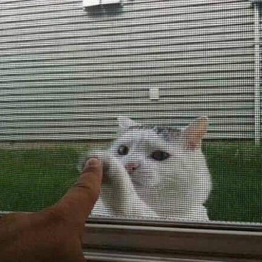 Is that what you want me to say?