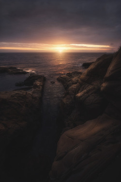 captvinvanity:   Luca Pelizzaro | Winter Gold Sea  