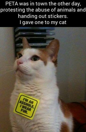 omghotmemes:  Fur:0