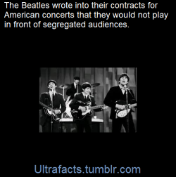 ultrafacts:    In response to the idea of playing a U.S. show