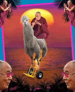welele:  Rebloguea al Dalai Lama de la buena suerte.10 reencarnaciones