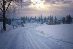 ewigwinter:  Landskap i februar by Krogen on Flickr. 