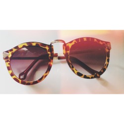 areulivingthelife:  Sunnies 🐆 