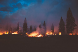 forrestmankins:  springtime burning in northern montana 