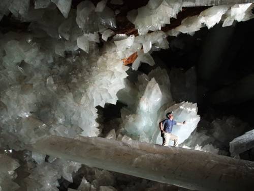 bebemoon:caves of giant selenite crystals in the naica mine,