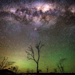 tasmaniabehindthescenery:  Under the Milky Way If you are after