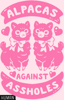 lisasterle:  Alpacas Against Assholes shirts oof so fluffy &