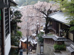 iesuuyr:   Kyoto Streets  by    	 	 	 	   gotenkun   