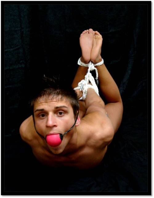 ball gag hogtie hottie