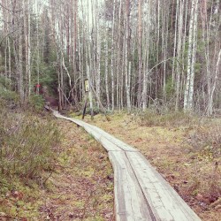 alumiinikuu:  Kurjenrahka National park, Finland, 2014 ©Alumiinikuu