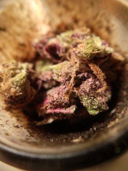 maxrajmahganja:  Bowl of purps 