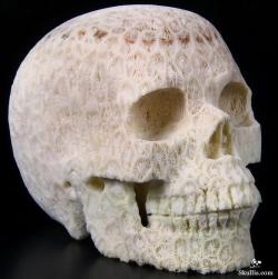 girlgrowingsmall:  mineralists:  White Coral has made this carved