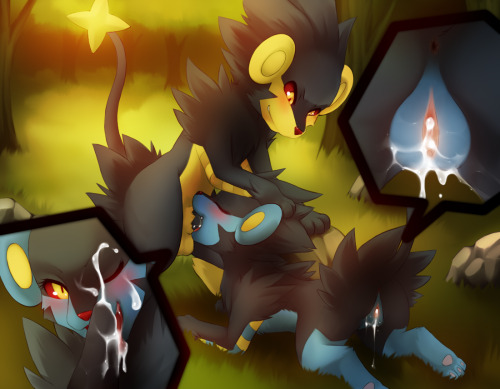 lucariofan97:  Luxray Evolution by request 