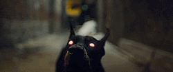 demoninha