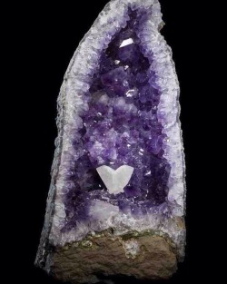 geologypage:  Calcite on Quartz Amethyst | #Geology #GeologyPage