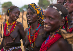 Dassanech tribe women during dimi ceremony to celebrate circumcision