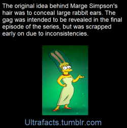 ultrafacts:  This is an image of her ears from the Simpsons Arcade