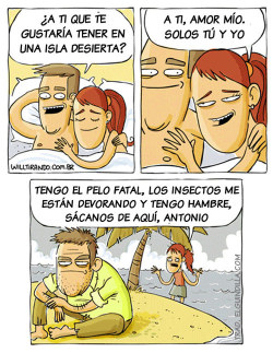 ElFifi