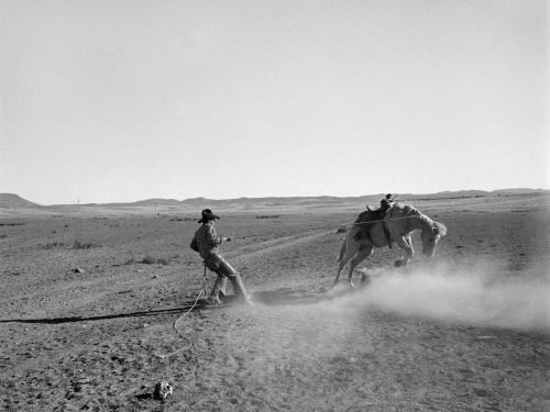 longingtobeborn:  Kurt Markus,  00 Ranch. Seligman, AZ (c. 1986)