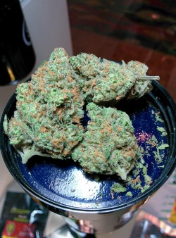 boldercannabis:  Blue Dream at the Greenest Green Dispensary