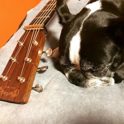 <p>Coming to the end of a long and beautiful weekend. We’re all a little tired but we’re a lot inspired and full of laughs and memories. And chocolate chip mayonnaise cookies. #itsalongstory #nashvilleflatpickcamp #nashvilleacousticcamps #martinguitar #bostonterrier #bostonterriercult #squishyfacecrew  (at Fiddlestar)</p>