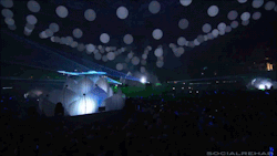 The EDM Scene