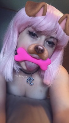 lsd-bunnyxo:  Being a silly puppy earlier on my snap 