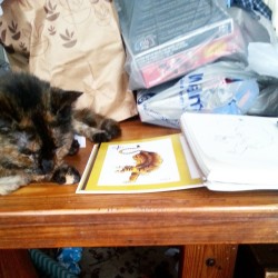 Copying a tiger out of a flash book. The cat is not impressed.