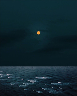 nevver: Lost horizon, Sophia Ahamed