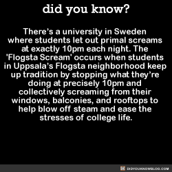 did-you-kno: There’s a university in Sweden  where students