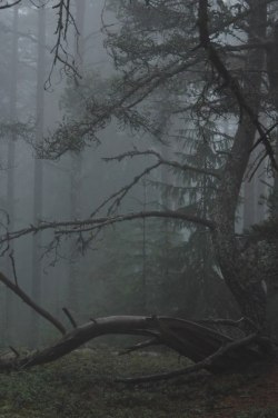 petermorwood:  wurmwood:  X  Photos so atmospheric you can squeeze