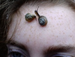 plantpowur: my little brother came into his room and put 2 snails