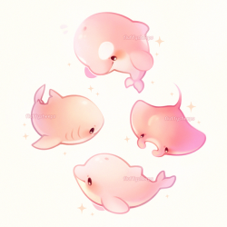 fluffysheeps:  Pretty in pink ✨