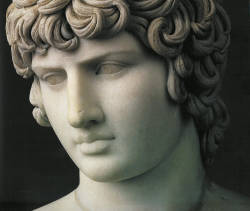 ombredesfleurs:  The Antinous Farnese - 130-138 AD, Naples Archaeological