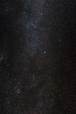 the-staged-inadequacy:  janimalia:  The Milky Way is the galaxy