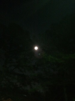 Full moon on February 4th.