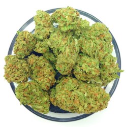 weedporndaily:  We Will Have Five Strains Of 贝 Ounces For